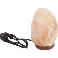 LSC Smart Connect Lampen^Absolu Chic Zoutsteenlamp