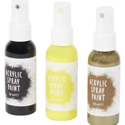 Van Bleiswijck Schilderen^Acrylverfset