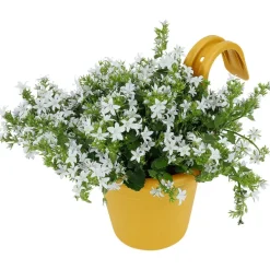 Merk Bloempotten^Balkonbloempot