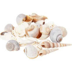 Merk Woonaccessoires^Decoschelpen