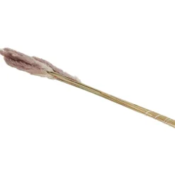 Green Boots Zaaien & Planten^Droogboeket