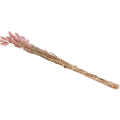 Green Boots Zaaien & Planten^Droogboeket