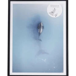 Merk Fotolijstjes^Fotoframe Met Posters