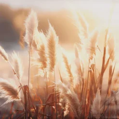 Merk Tuindecoratie^Garden Collection Tuindoek