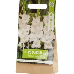 Green Boots Zaaien & Planten^Gladiolen Bloembollen