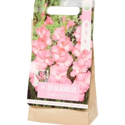 Green Boots Zaaien & Planten^Gladiolen Bloembollen