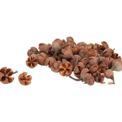 Merk Woonaccessoires^Home Accents Decoratiemateriaal