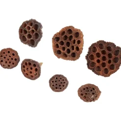 Merk Kunstplanten & -Bloemen^Home Accents Natural Droogmix