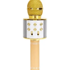 Lab31 Multimedia Accessoires^Karaoke-Microfoon