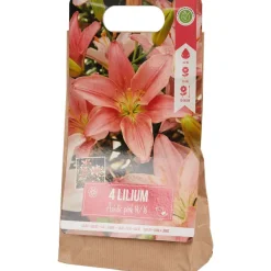 Green Boots Zaaien & Planten^Lelie Bloembollen